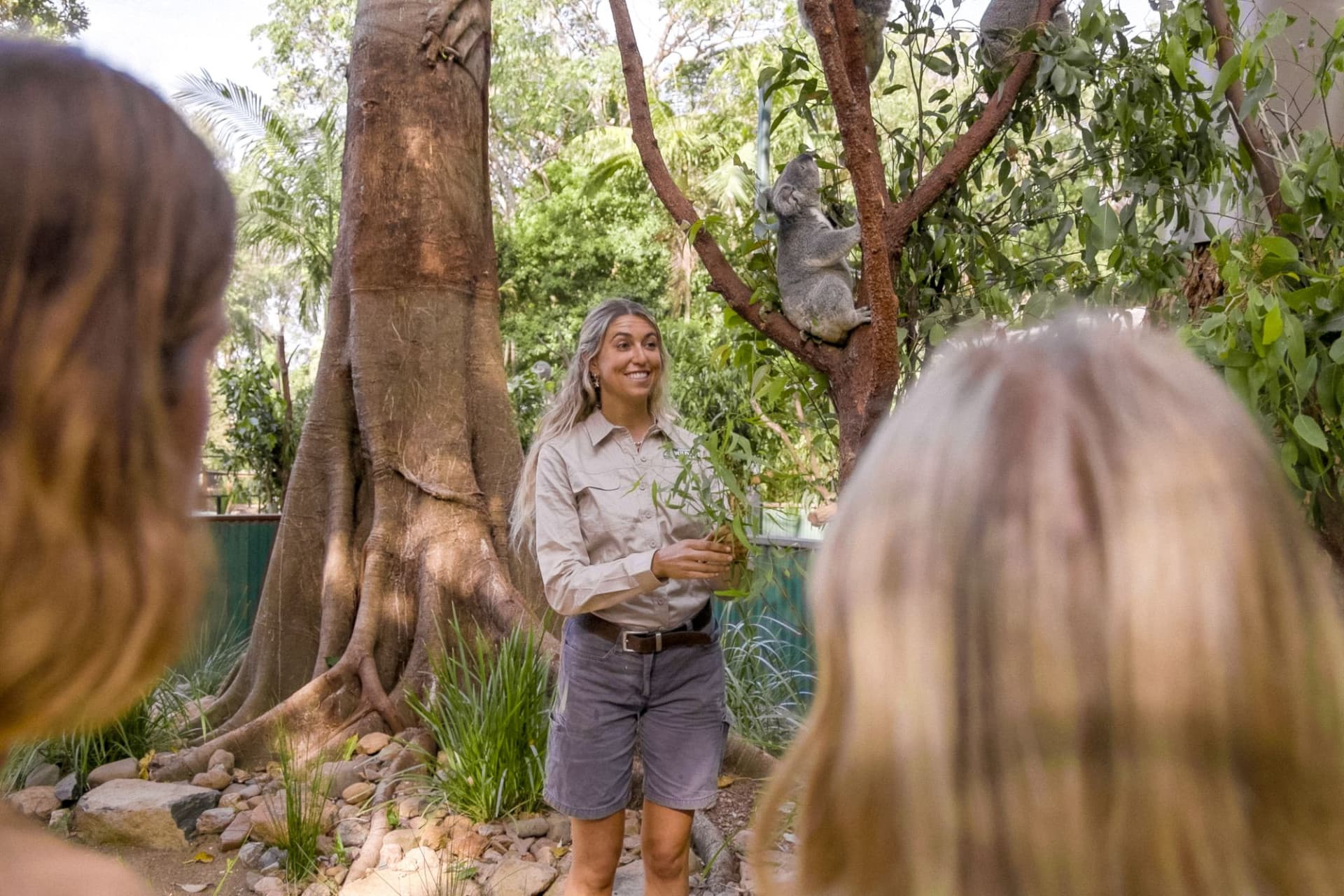 Currumbin Wildlife Sanctuary Gold Coast Ticket - image 7